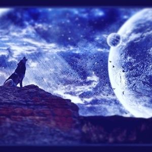 Meet your Posher, Carolina